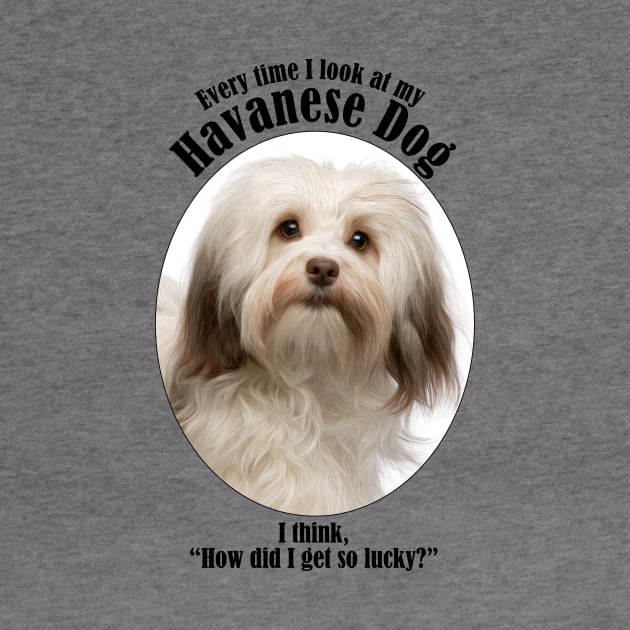 Havanese Dog Traits by You Had Me At Woof